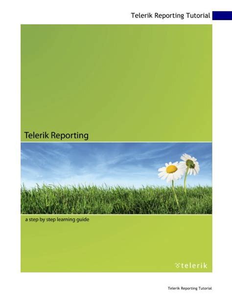 Telerik Reporting 16.0.22.225 Download